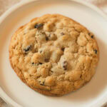 A single oatmeal raisin cookie on a plate.