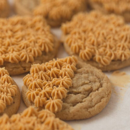 Peanut butter cookies frosted with piped stars of peanut butter buttercream.