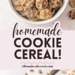 Mini cookies in a cereal bowl with the words, "homemade Cookie Cereal!"