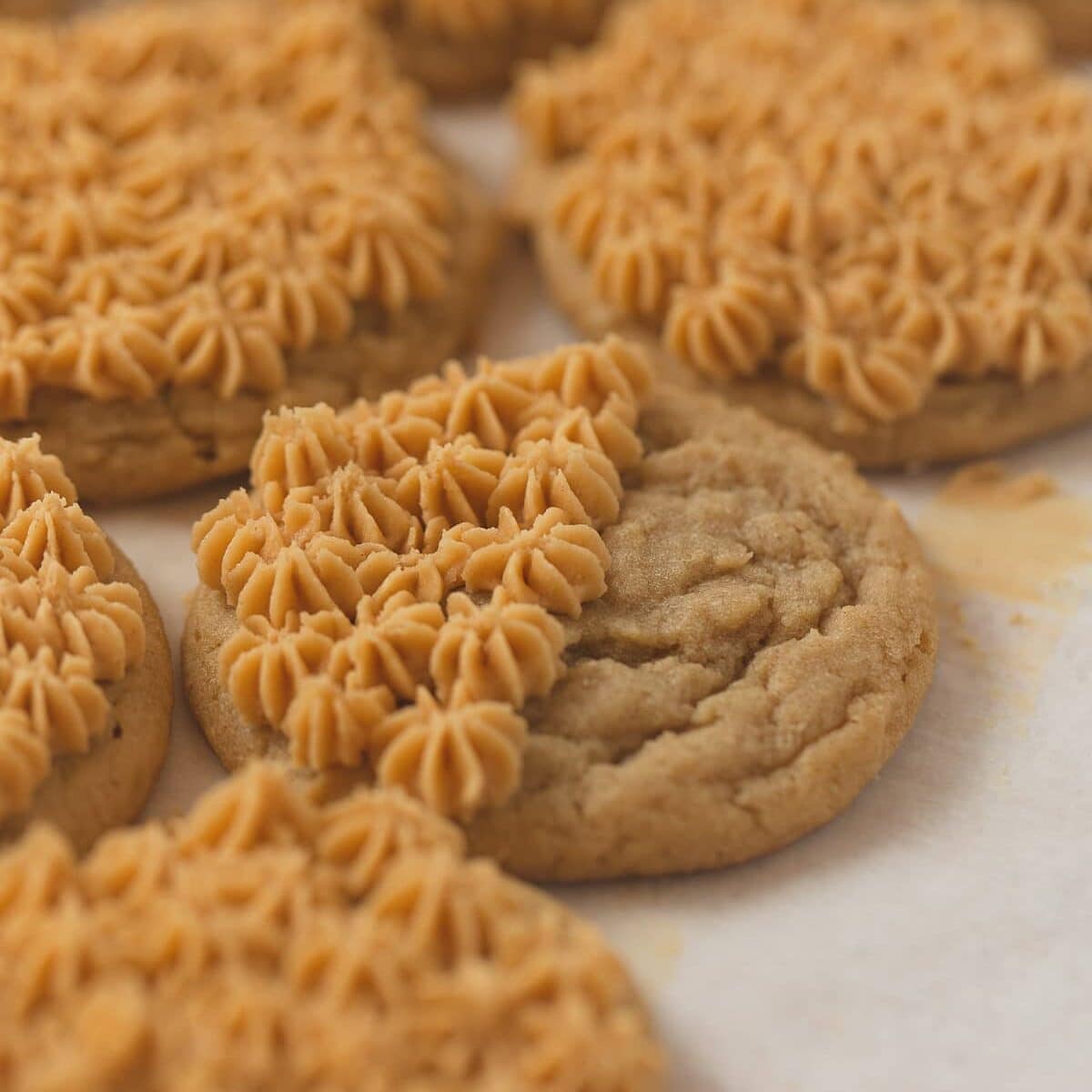 Peanut butter cookies frosted with piped stars of peanut butter buttercream.